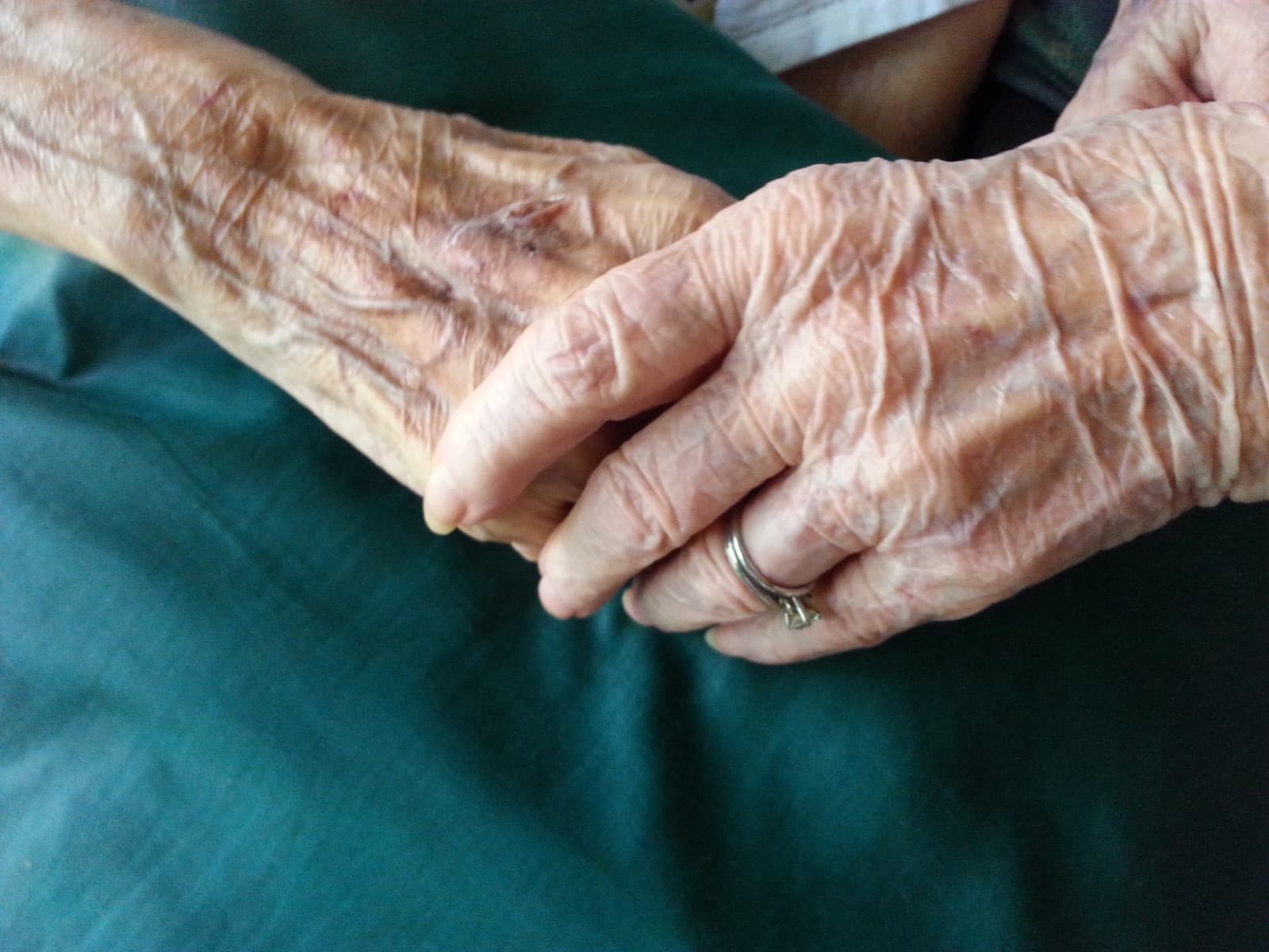 Companion Care